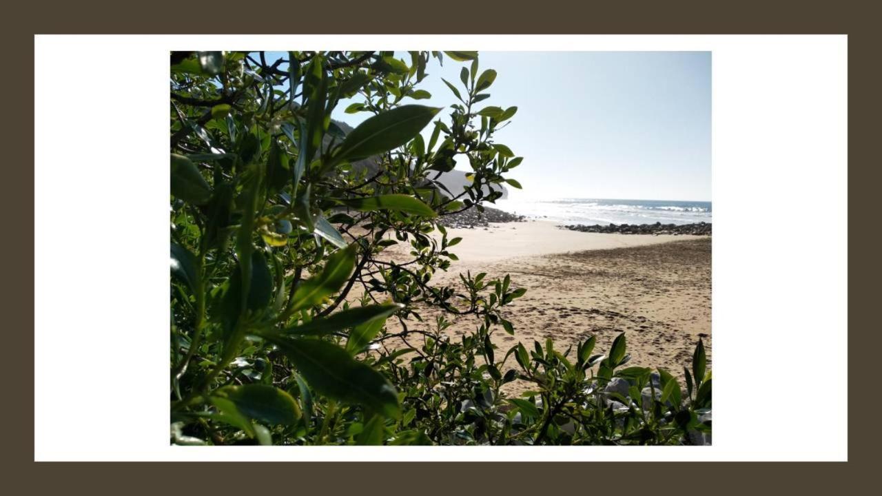 Buzio Villa Vila do Bispo Bagian luar foto